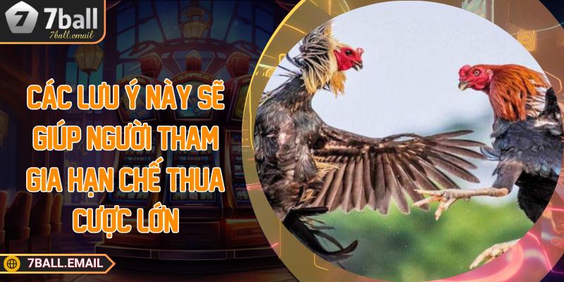 Các lưu ý này sẽ giúp người tham gia hạn chế thua cược lớn