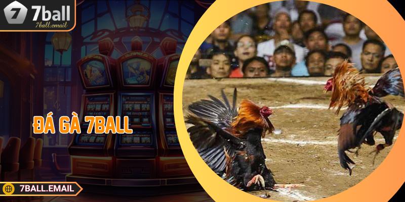 Đá gà 7ball có rất nhiều ưu điểm vượt trội so với sân chơi khác