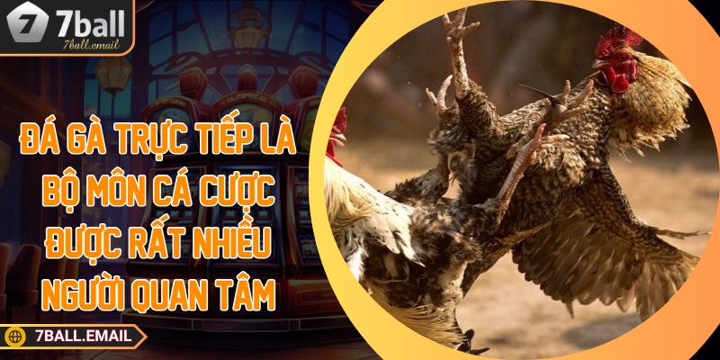 Đá gà trực tiếp là bộ môn cá cược được rất nhiều người quan tâm