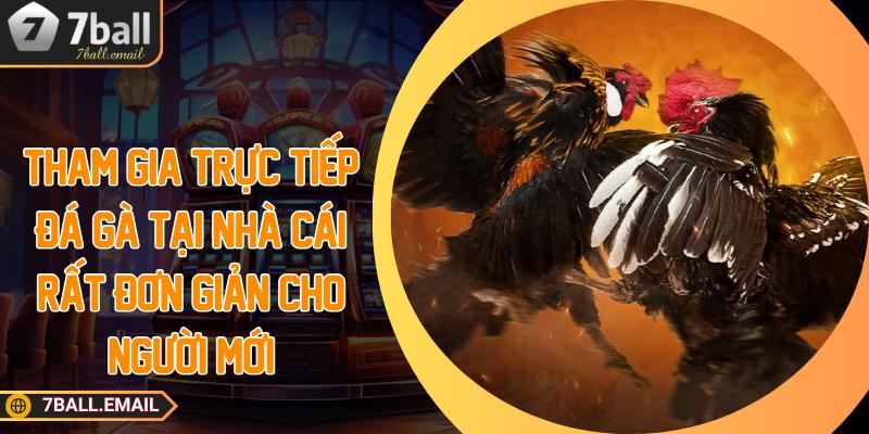 Tham gia trực tiếp đá gà tại nhà cái rất đơn giản cho người mới