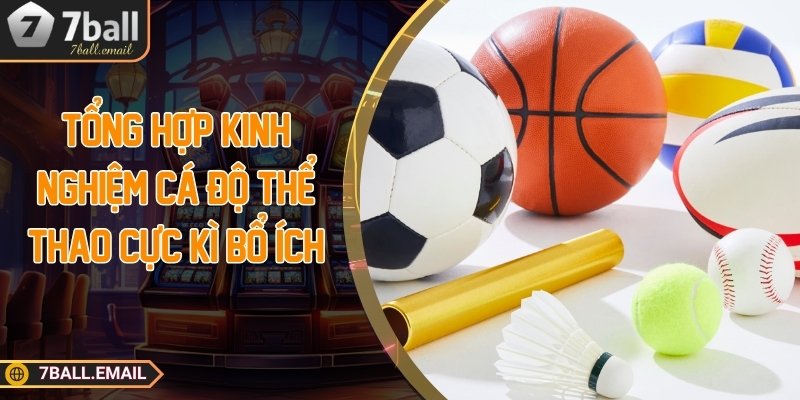 Tổng hợp kinh nghiệm cá độ thể thao cực kì bổ ích